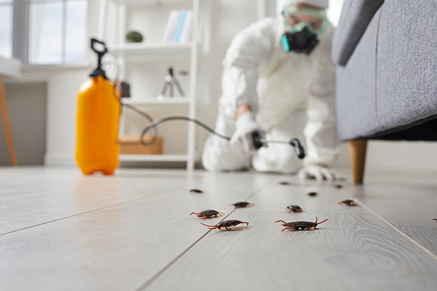 Commercial Kitchen Cockroach Control in Annetta